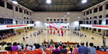 田園社區(qū)項(xiàng)目社會(huì)組織文藝匯演暨村社會(huì)組織服務(wù)中心授旗儀式圓滿落幕